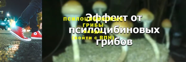 СК Сосновый Бор