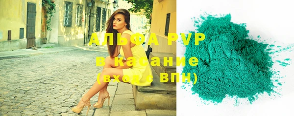 ПСИЛОЦИБИНОВЫЕ ГРИБЫ Верея