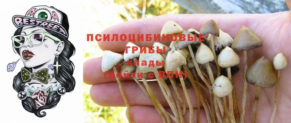 ПСИЛОЦИБИНОВЫЕ ГРИБЫ Верея