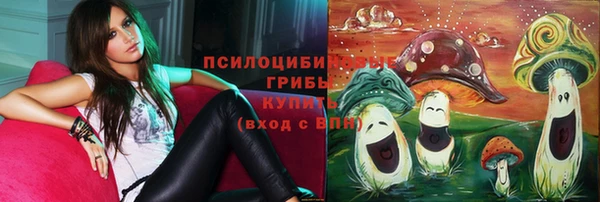 эйфоретик Сосновка